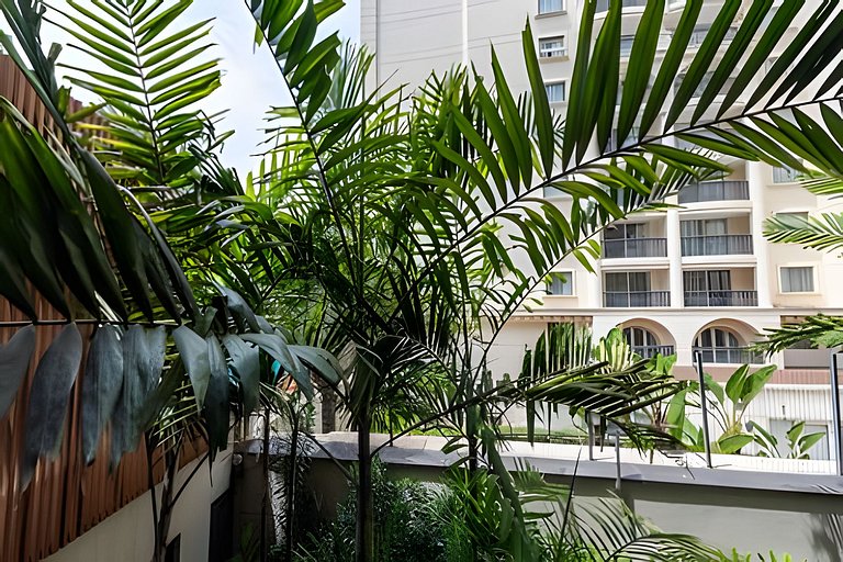 PV | Novo Bhaus Pivo Vila Nova | Parque Ibirapuera